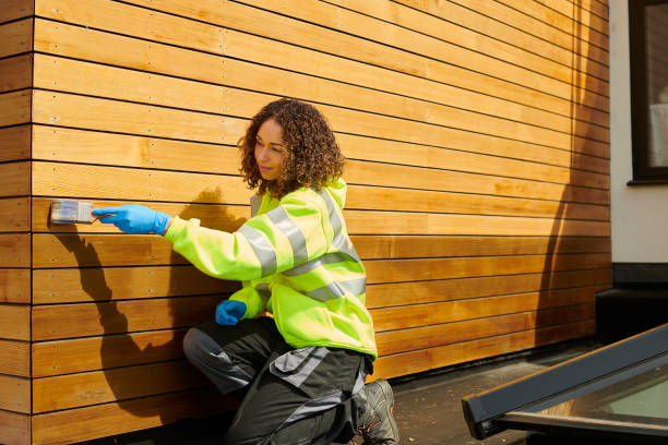 Best Storm Damage Siding Repair  in Massanutten, VA